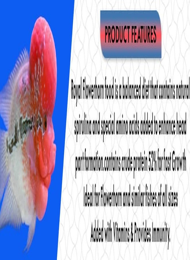 VAYINATO Horizone Royal Flowerhorn Daily Nutrition Fish Food, 100G - All Life Stages, Pellet - Image 5